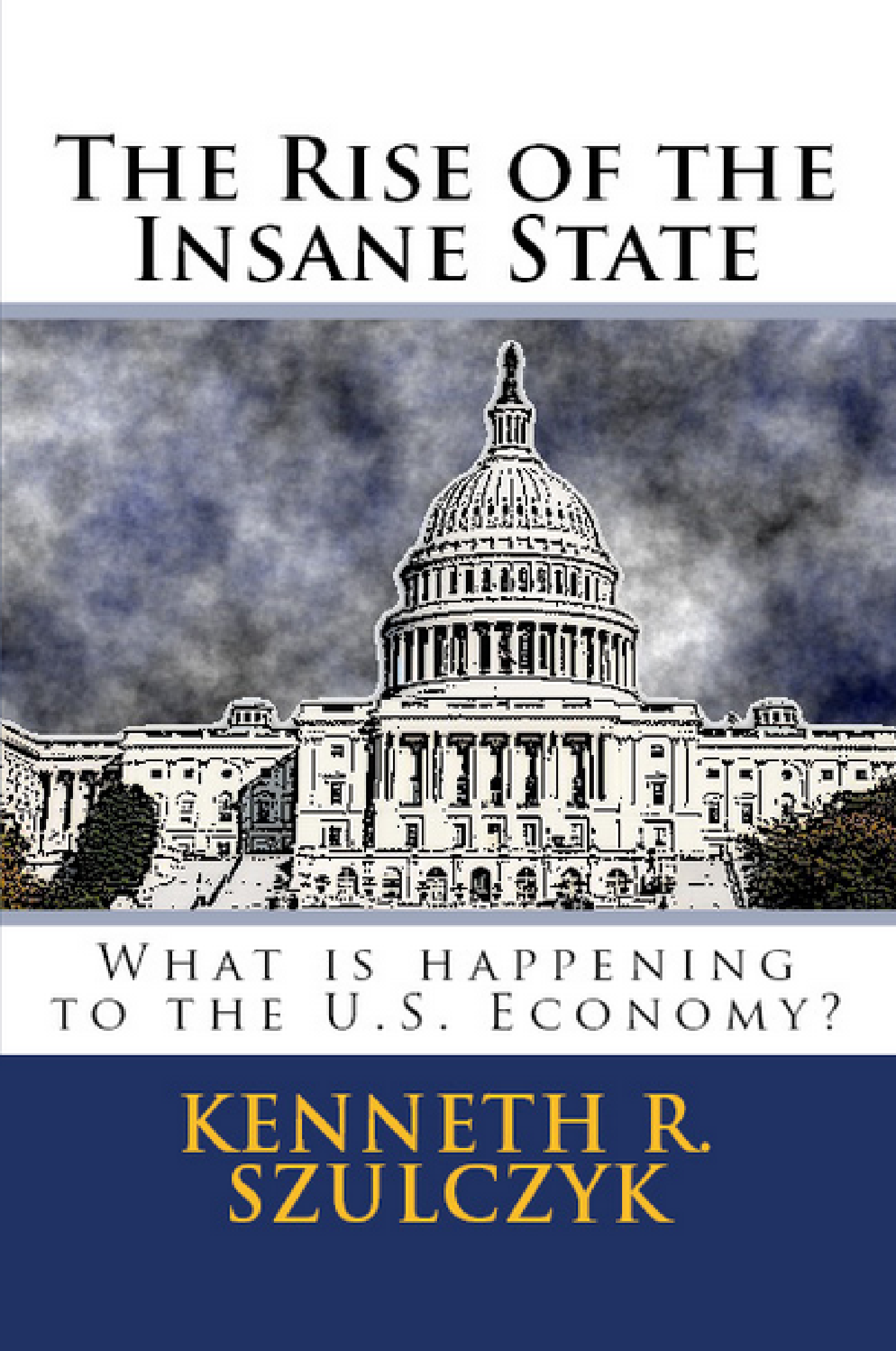 Cover to The Rise of the Insane State