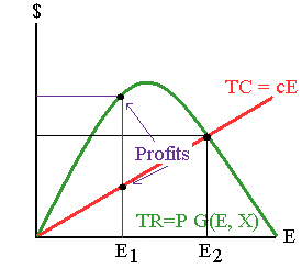 Economic profits for fish catching