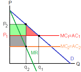 Horizontal merger becomes a monopoly