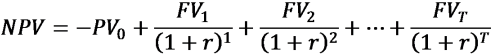 NPV of real cash flow